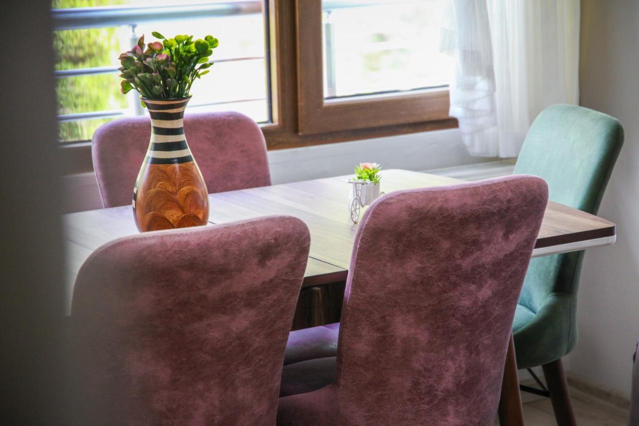 Elegant Residence Çamlıhemşin 外观 照片